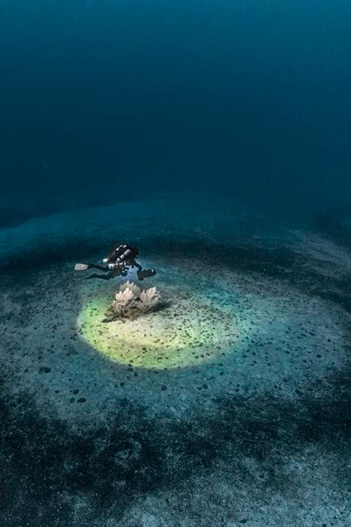 Méditerranée : le mystère des anneaux (mditerrane-le-mystre-des-anneaux) Документальный фильм