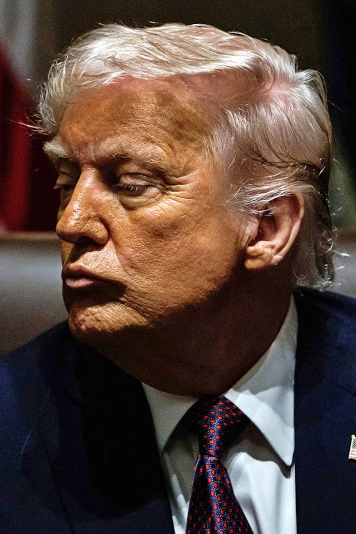 Trump Revolution: 100 Days That (trump-revolution-100-days-that) Документальный фильм