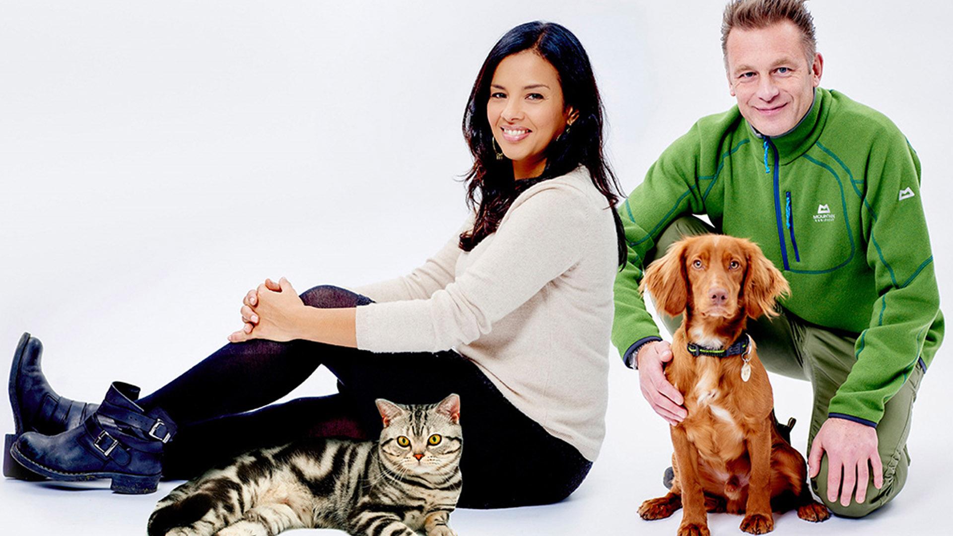 Кошки и собаки: кто лучше? (koshki-i-sobaki-kto-luchshe) Документальный сериал