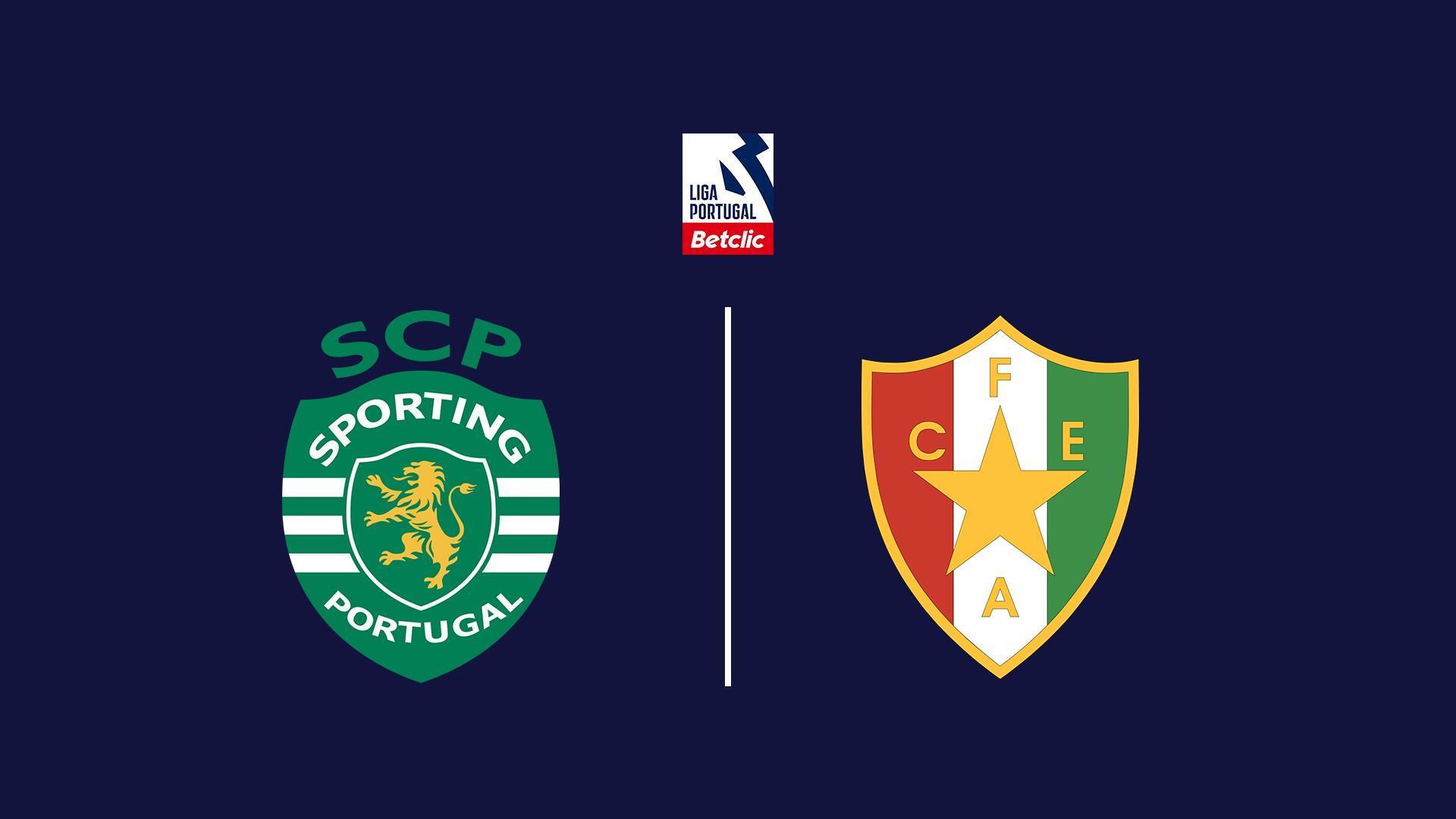 Football : Championnat du Portugal. Sporting Club Portugal / Estrela Amadora (football-championnat-du-portugal-sporting-club-portugal-estrela-amadora) Спорт