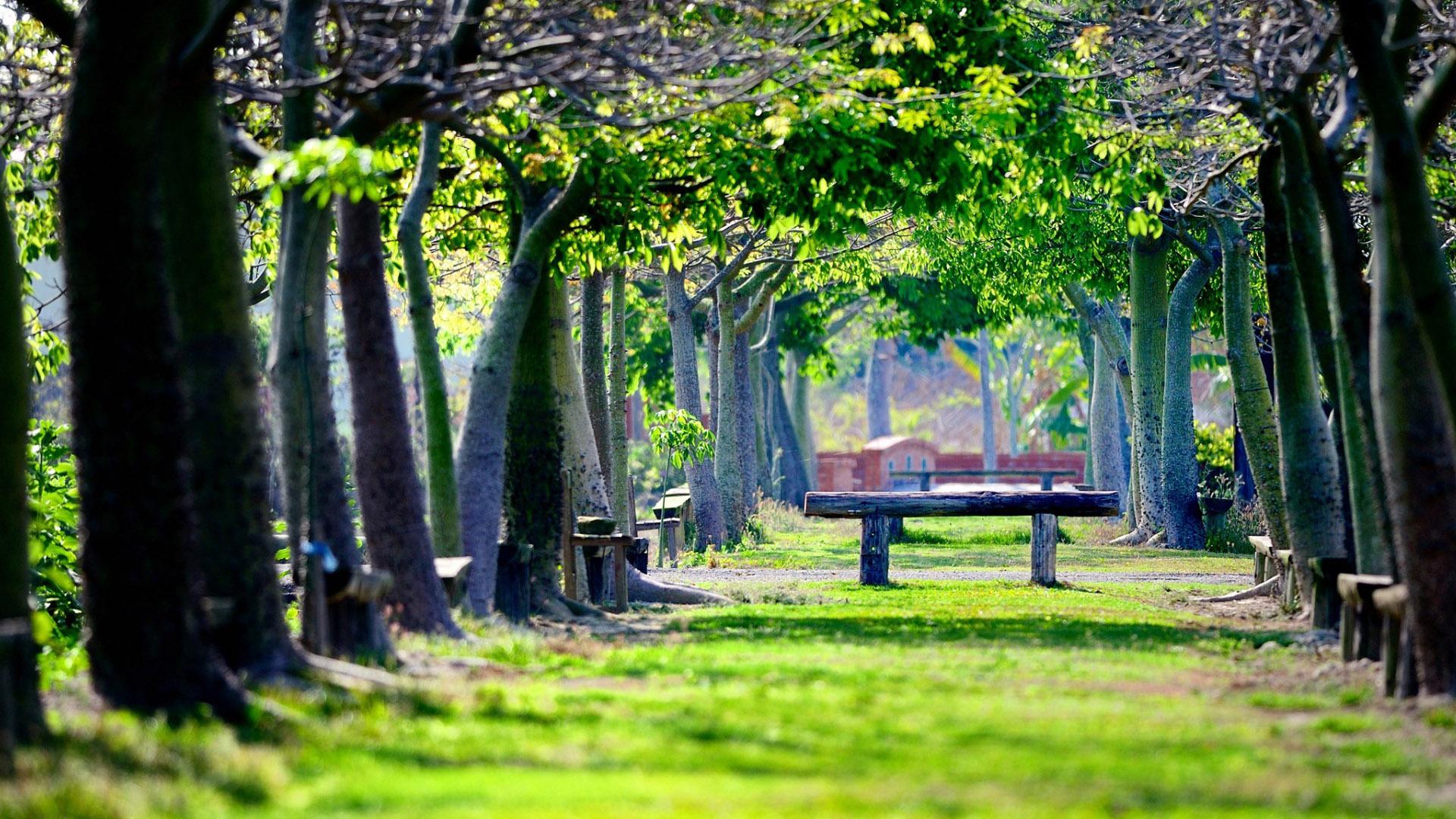 Центральный park (tsentralnyj-park) Досуг, хобби