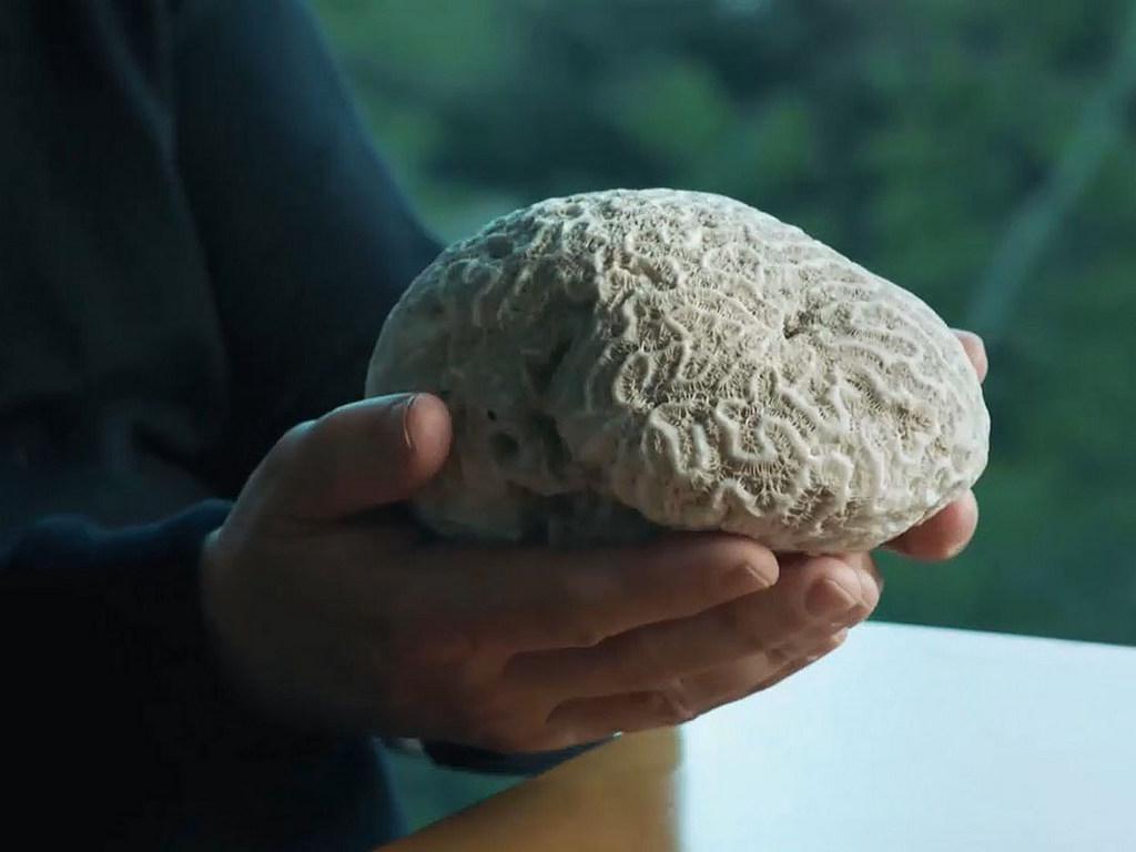 Das Rätsel des künstlichen Hirns (das-rtsel-des-knstlichen-hirns) Документальный фильм