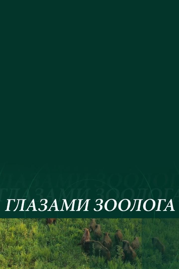 Глазами зоолога (glazami-zoologa) Документальный фильм