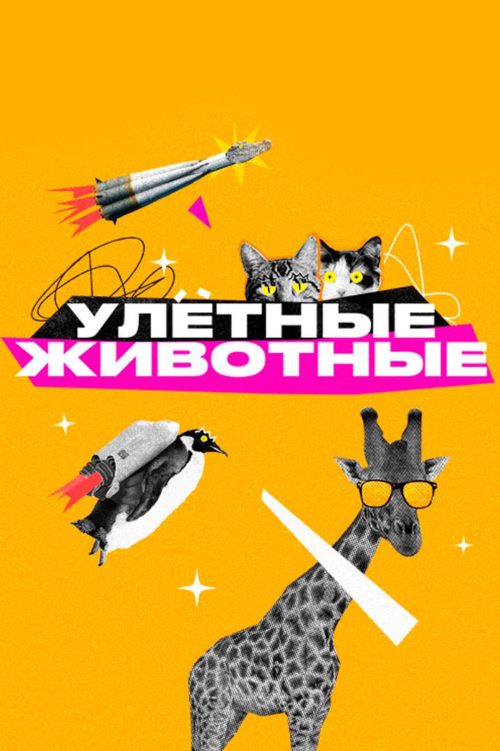 Улётные животные (uletnye-zhivotnye) Юмор