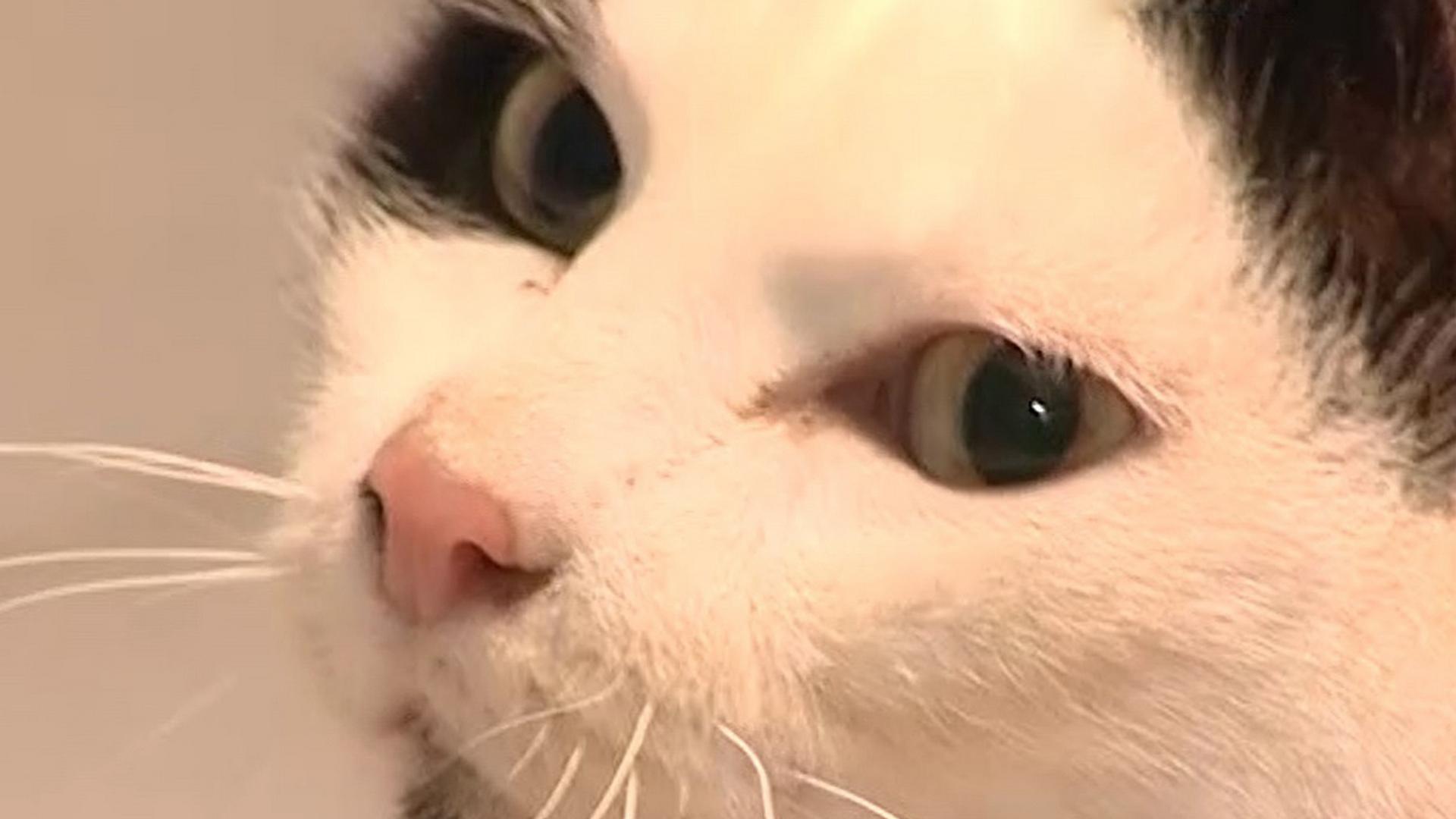 Зооярмарка (zoojarmarka) Познавательное