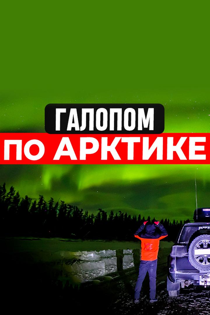 Галопом по Арктике (galopom-po-arktike) Досуг, хобби