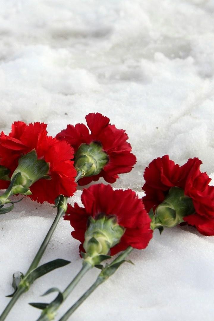 Одна на всех победа (odna-na-vseh-pobeda) Музыка