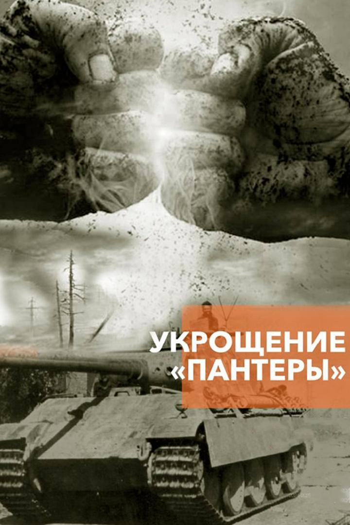 Укрощение «Пантеры» (ukroschenie-pantery) Сериал
