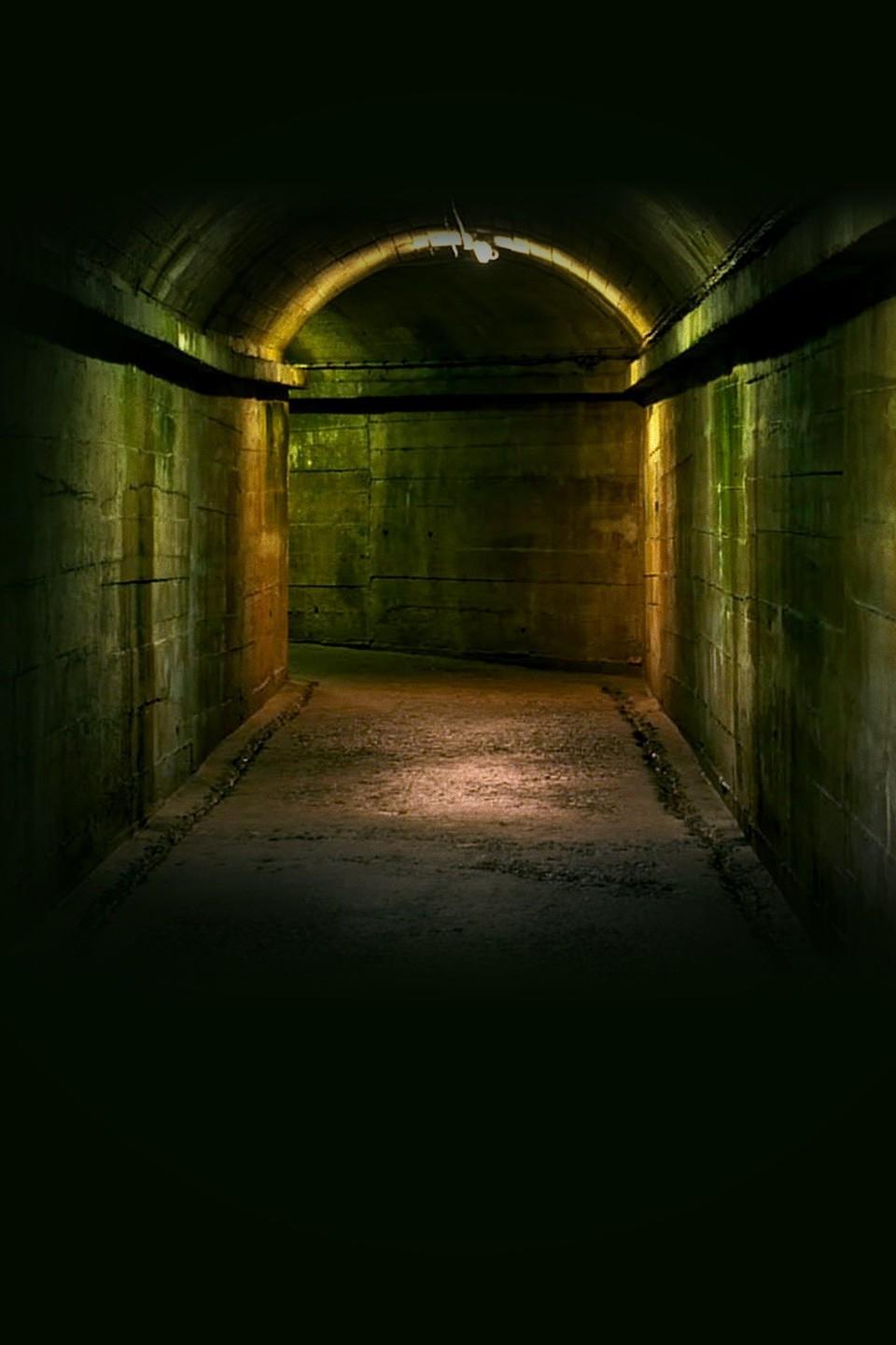 The Secret Nazi Expeditions (the-secret-nazi-expeditions) Документальный сериал