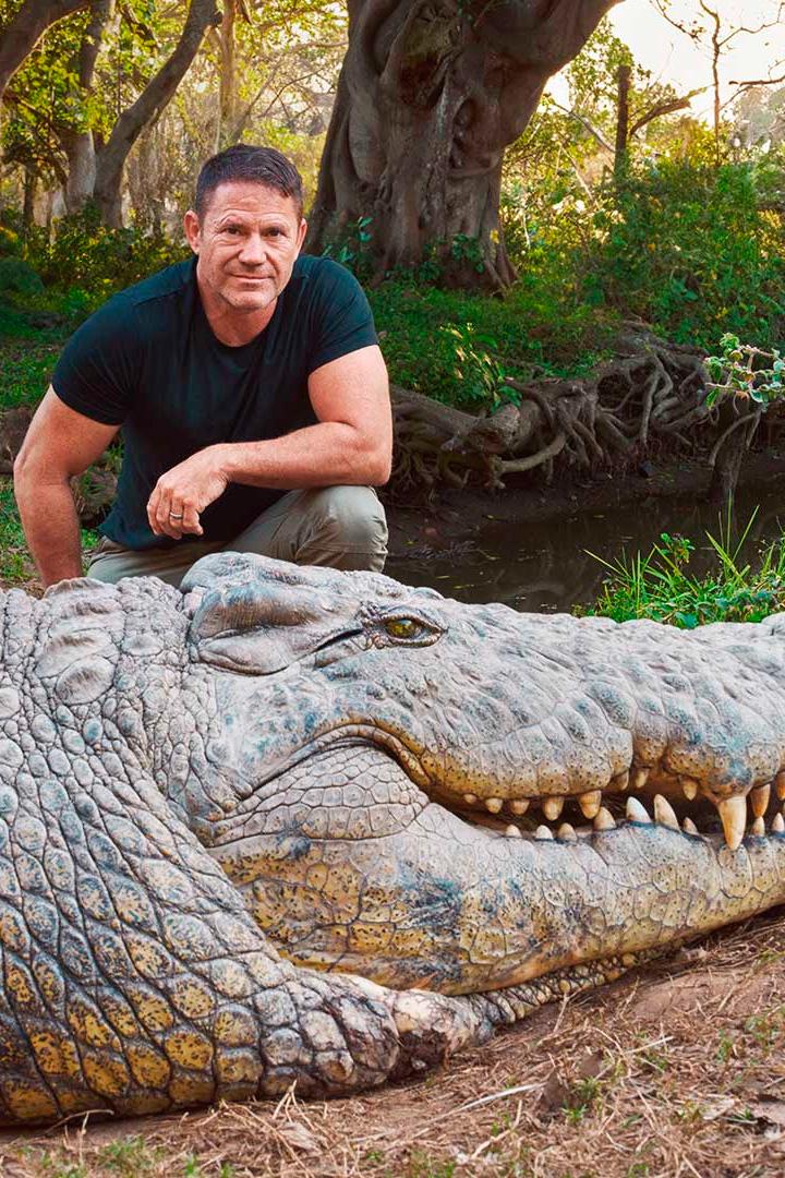 Croc and Hippo Watch with Steve Backshall (croc-and-hippo-watch-with-steve-backshall) Познавательное