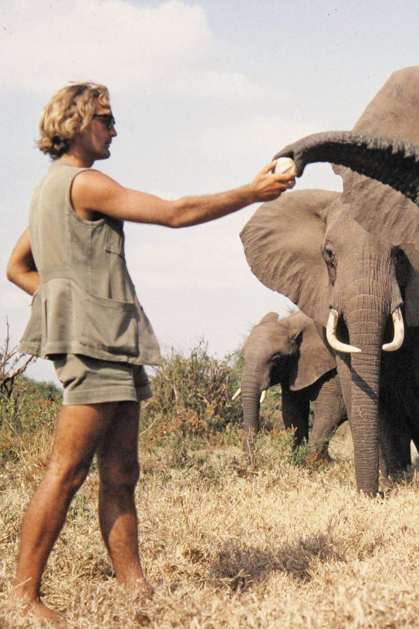 A Life Among Elephants (a-life-among-elephants) Документальный фильм