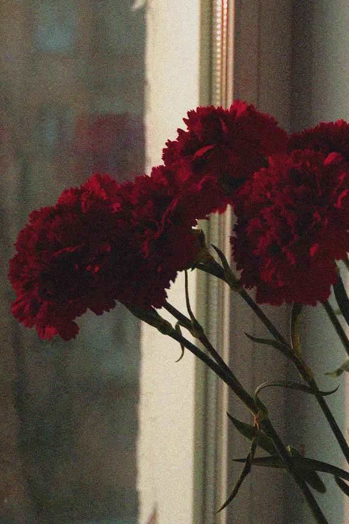 Праздничный концерт к 9 мая «Жизнь. Любовь. Победа.» (prazdnichnyj-kontsert-k-9-maja-zhizn-ljubov-pobeda) Музыка