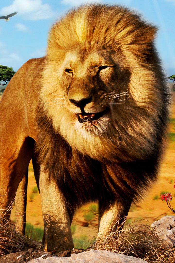 Африка 3D (afrika-3d) Документальный фильм
