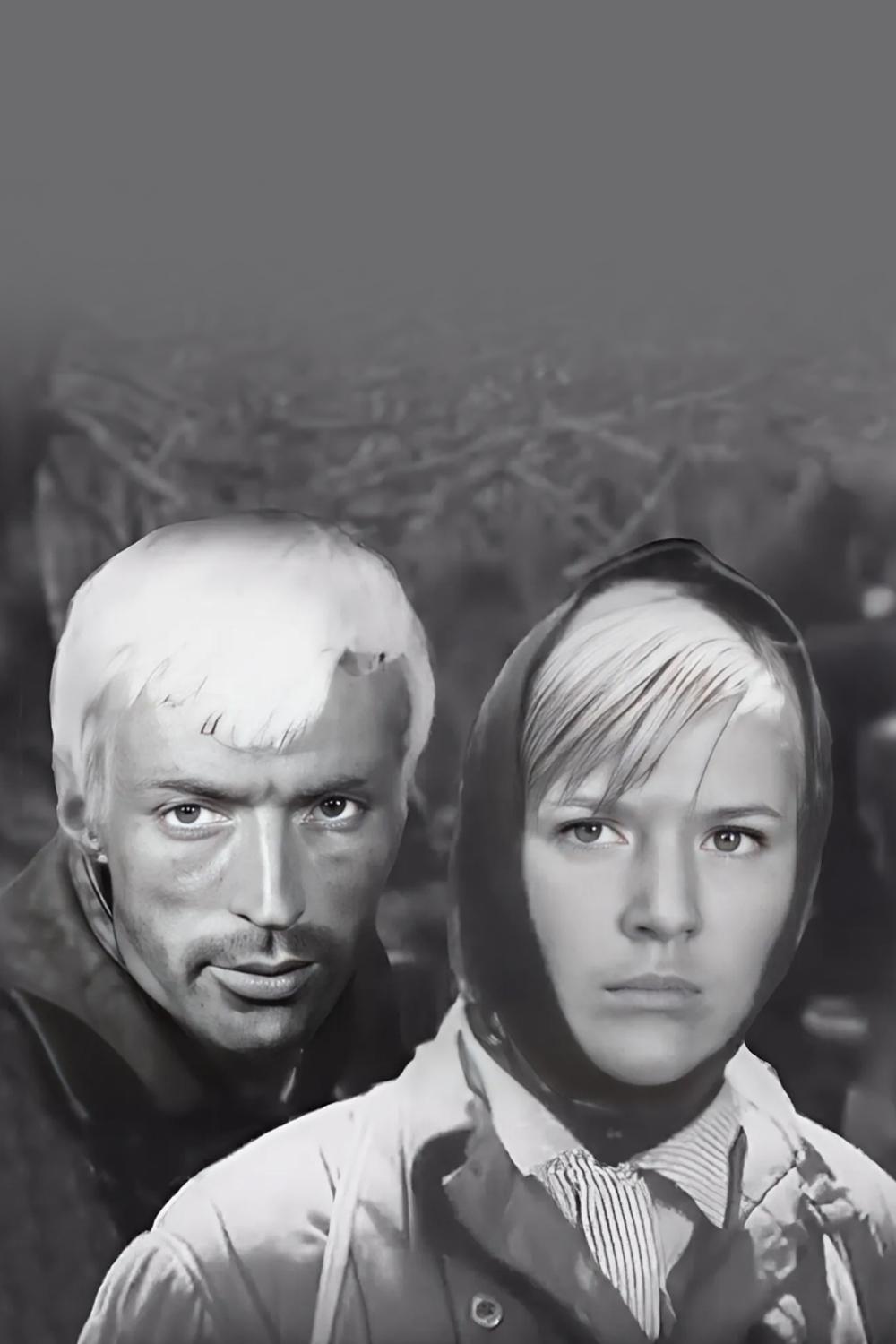 Обратной дороги нет (obratnoj-dorogi-net) Фильм 1970
