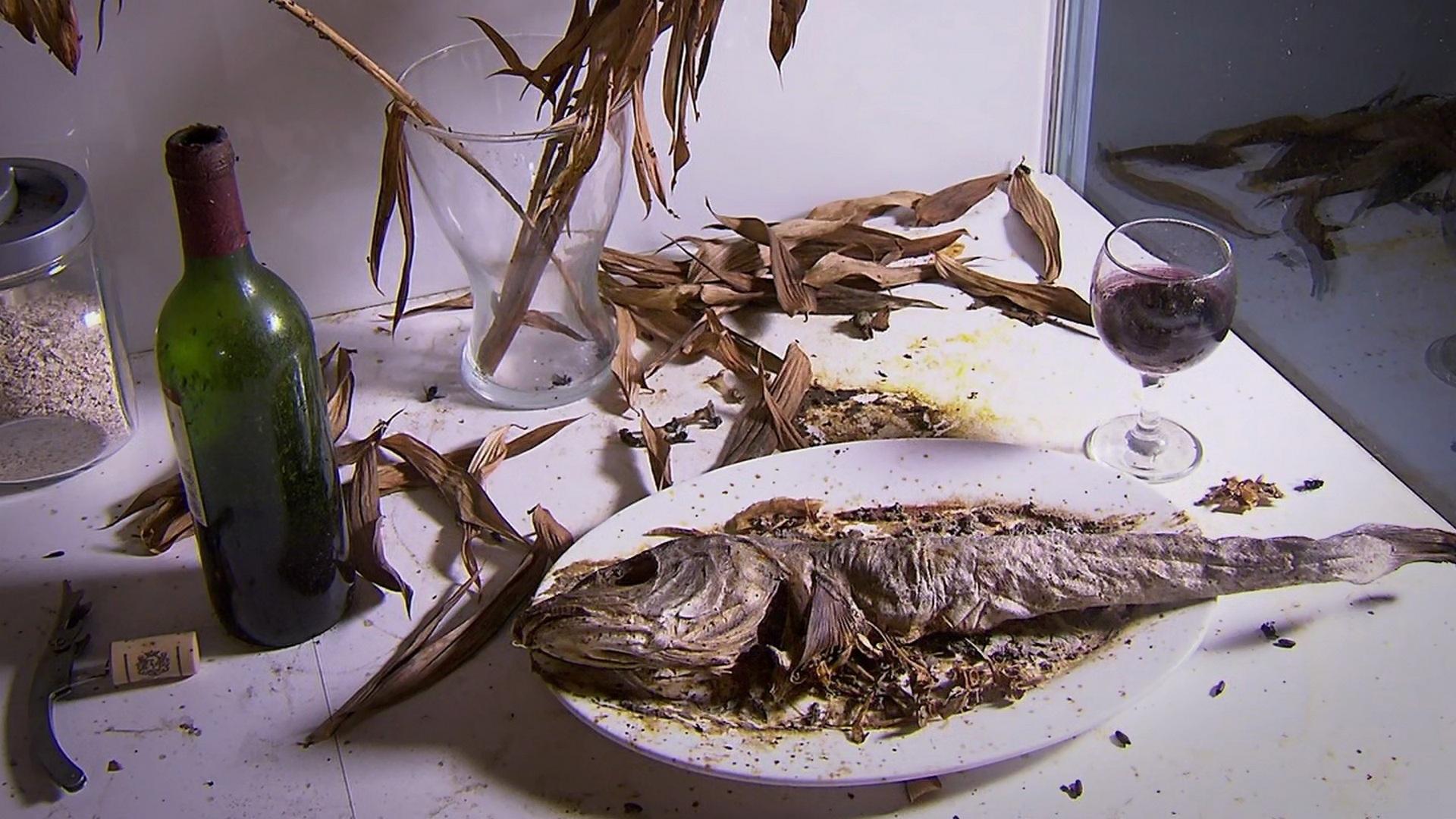 После смерти. Загадочная наука разложения (posle-smerti-zagadochnaja-nauka-razlozhenija) Документальный фильм