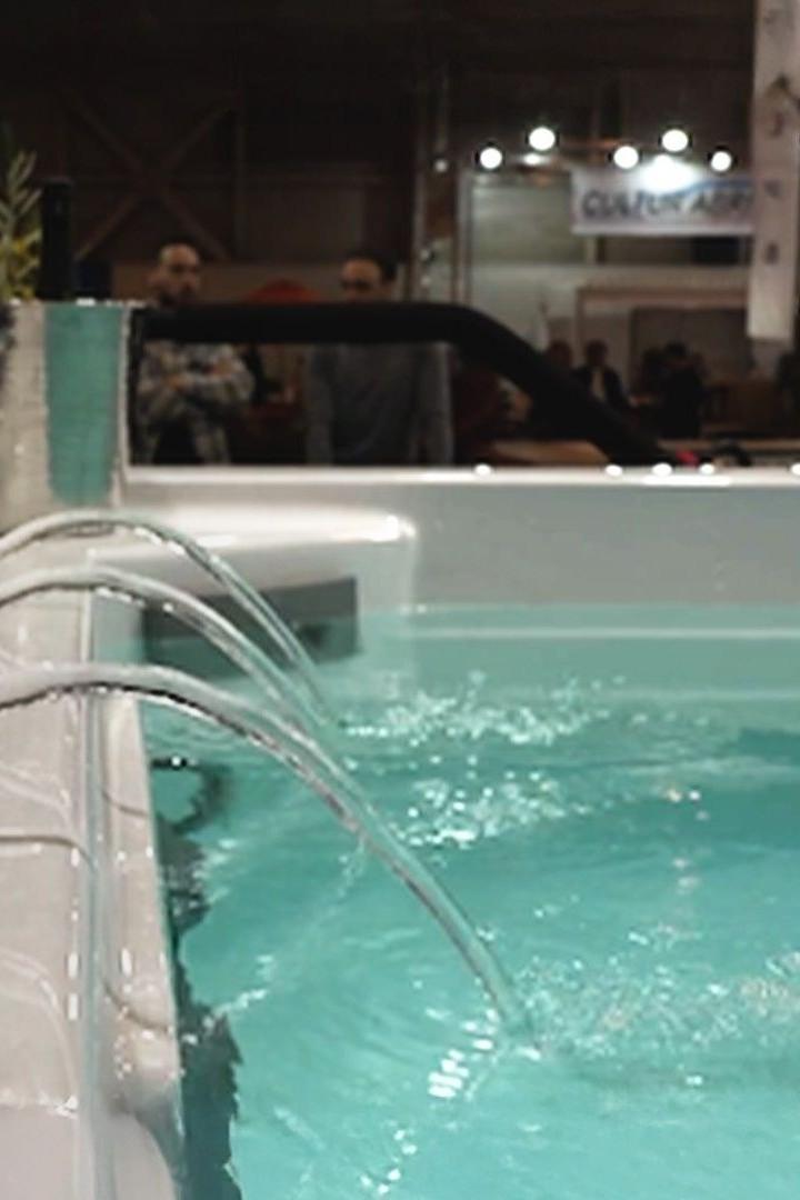 Salon piscines et jardins : ils préparent déjà l'été (salon-piscines-et-jardins-ils-prparent-dj-lt) Досуг, хобби