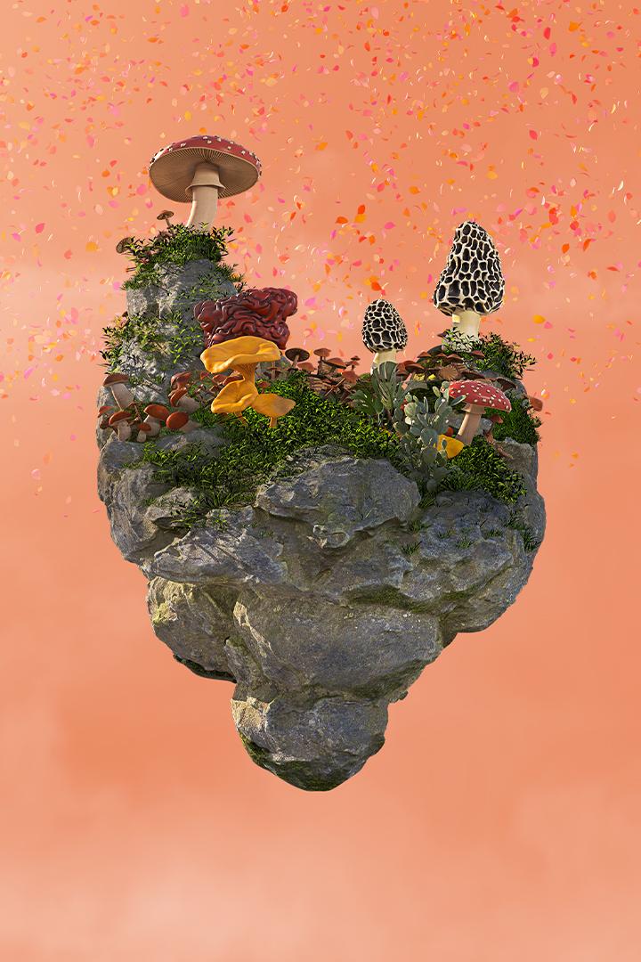 David Attenborough's Kingdom of Plants (david-attenboroughs-kingdom-of-plants) Досуг, хобби