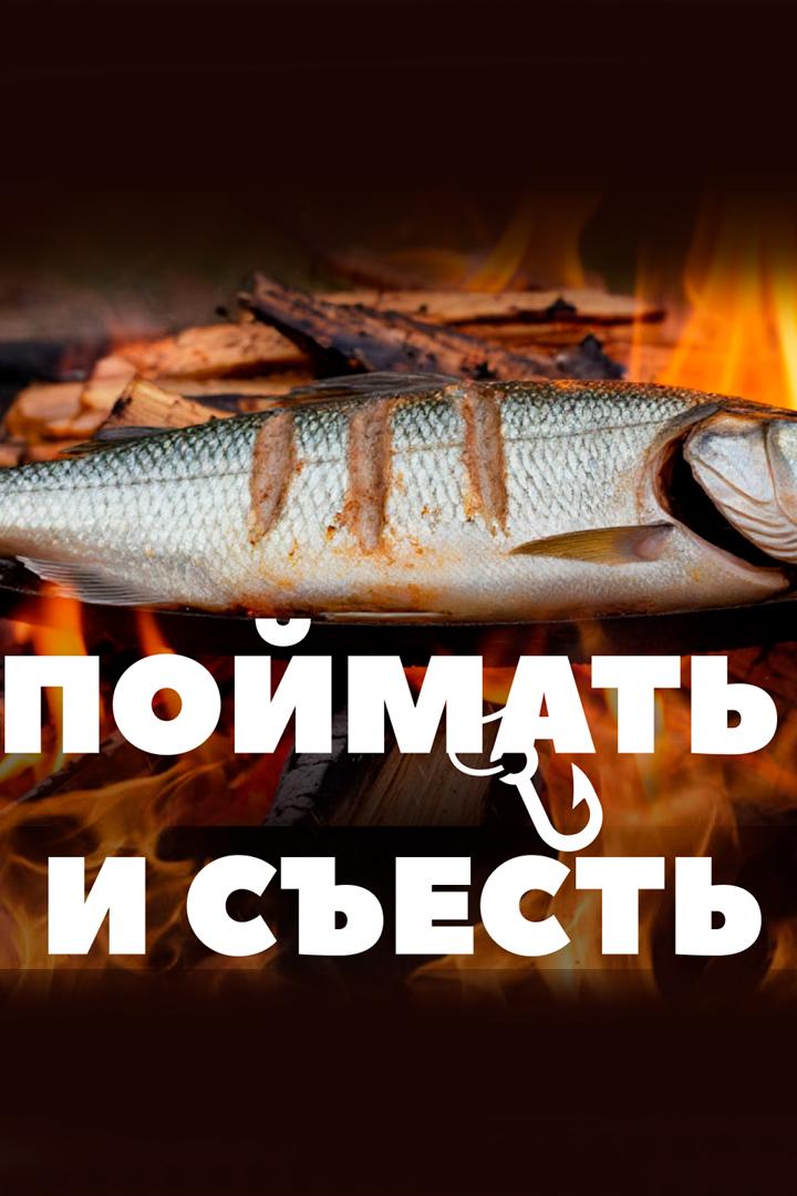 Поймать и съесть (pojmat-i-sest) Познавательное
