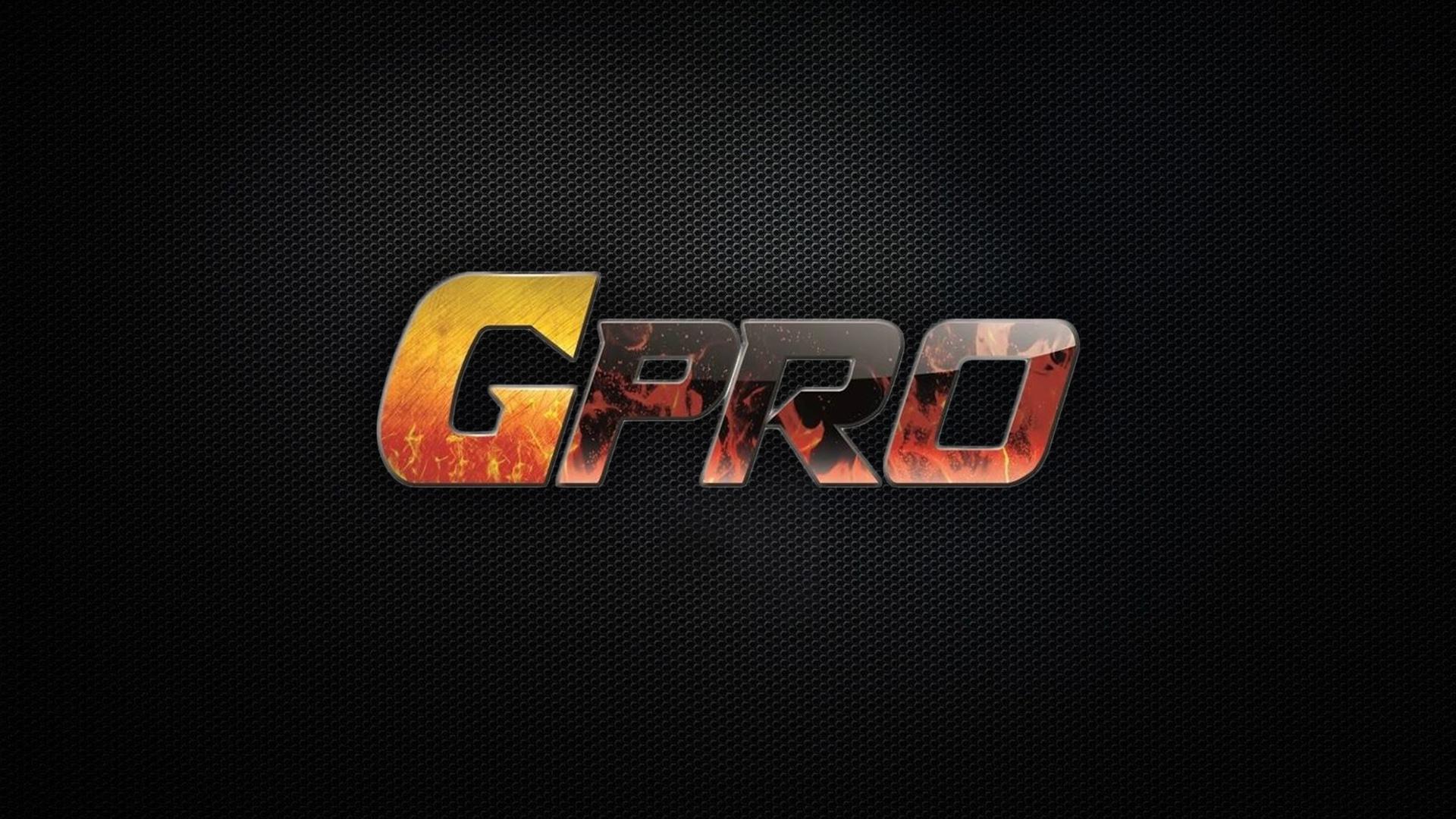 MMA GPRO-46. Часть 2-я (mma-gpro-46-chast-2-ja) Спорт