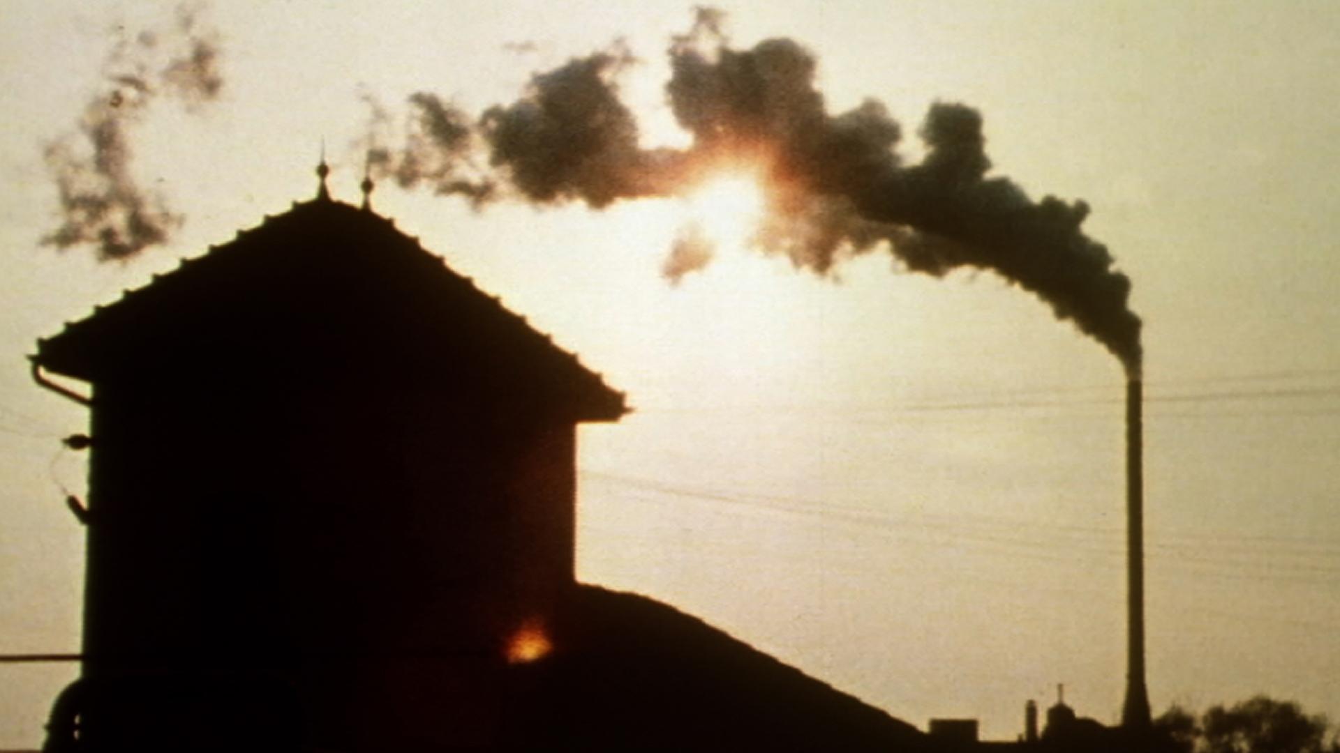 Насущные нужды (nasuschnye-nuzhdy) Документальный фильм