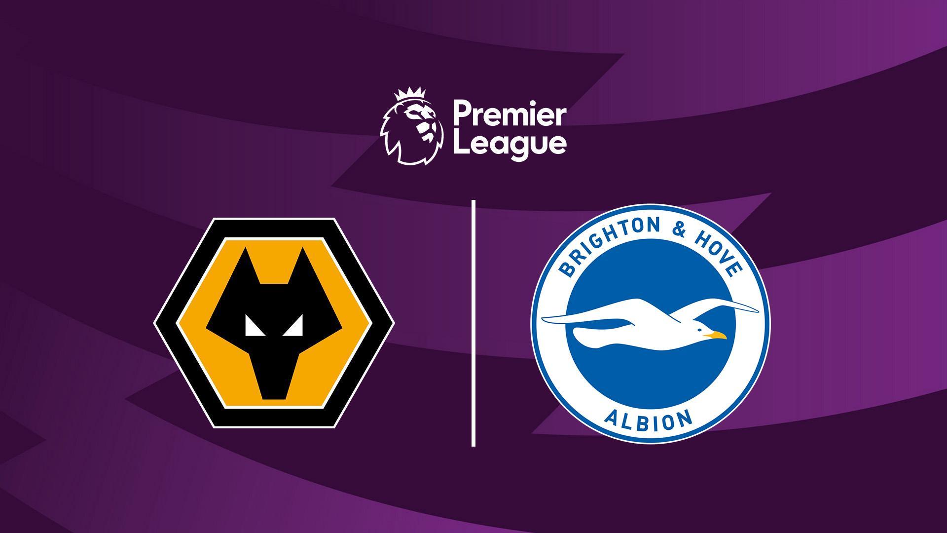 Fudbal: Engleska Liga: Wolverhamoton - Brighton (fudbal-engleska-liga-wolverhamoton-brighton) Спорт