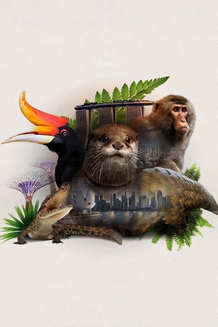 Nosso Mundo Wild City - Singapore (nosso-mundo-wild-city-singapore) Познавательное