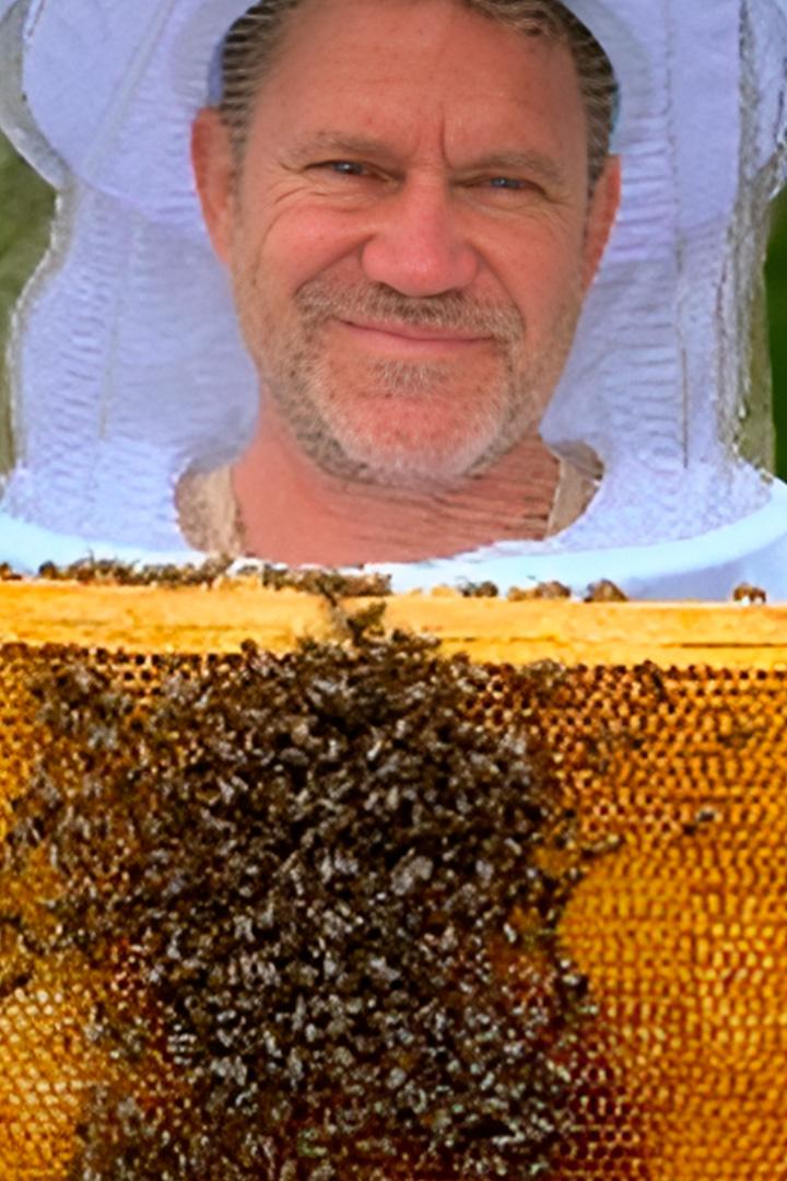 The secret life of bees (the-secret-life-of-bees) Документальный фильм