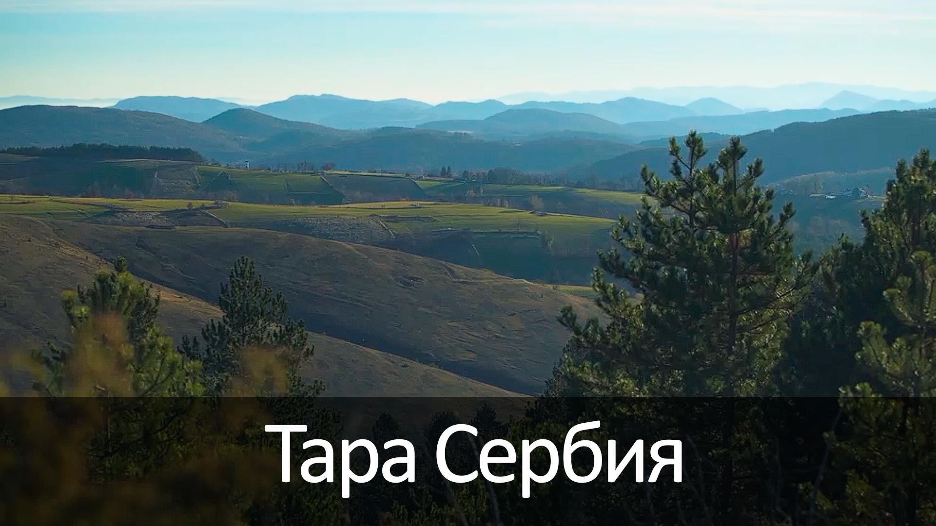 Тара Сербия (tara-serbija) Досуг, хобби
