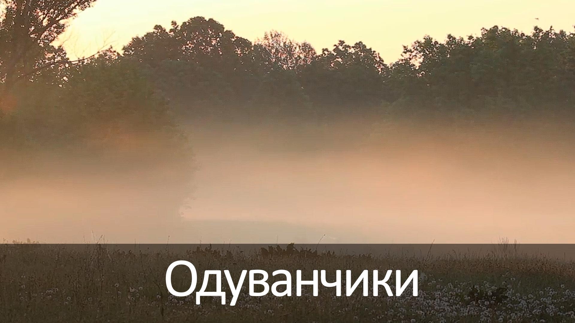 Одуванчики (oduvanchiki) Досуг, хобби