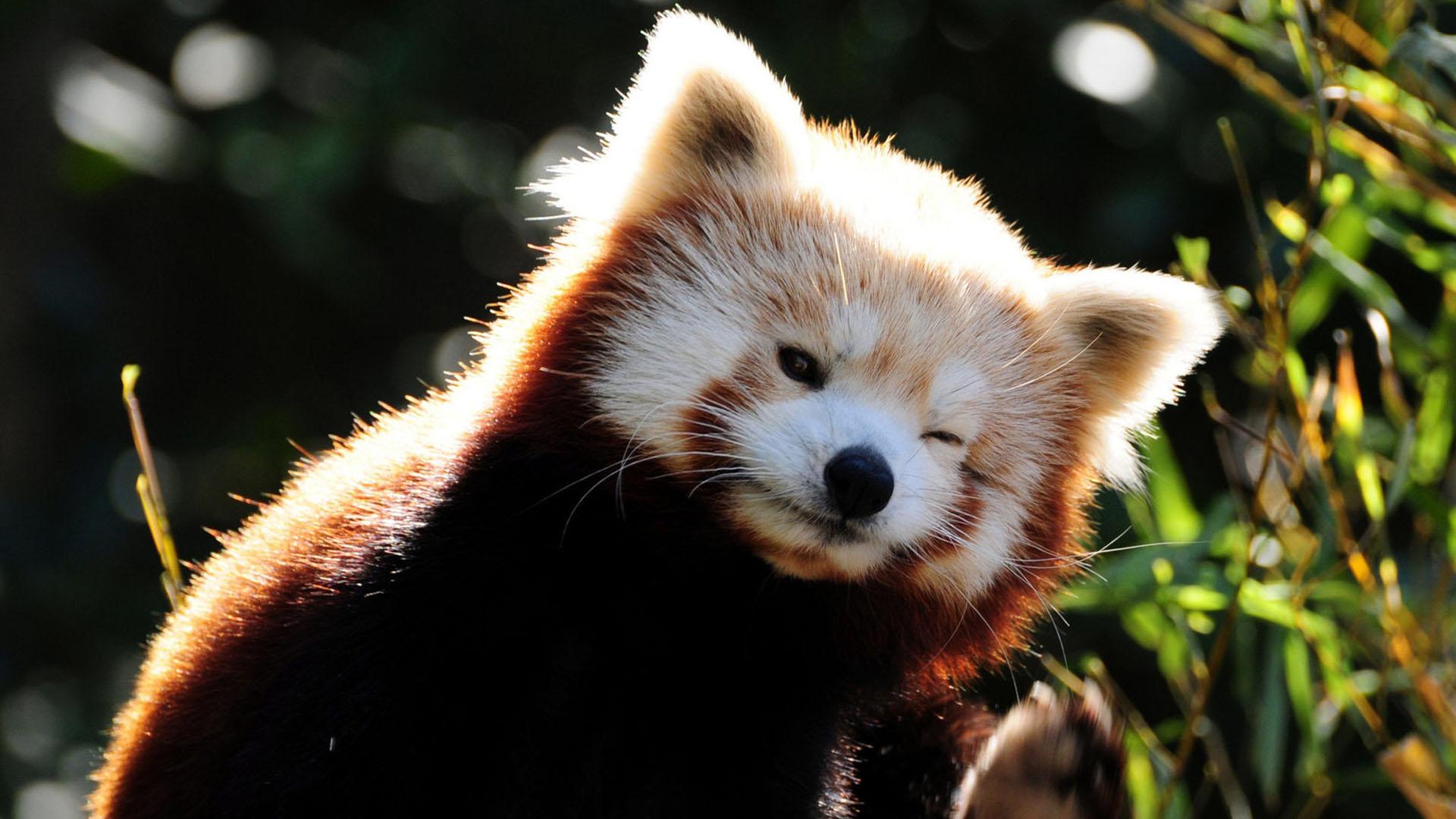 Один день (odin-den) Досуг, хобби