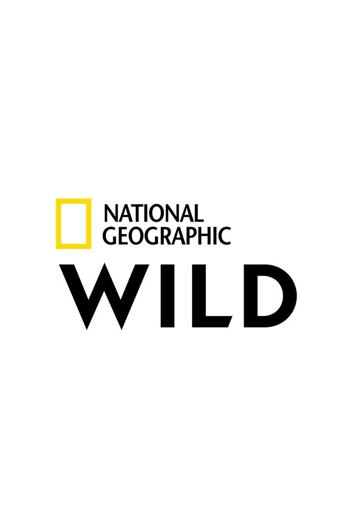 NGC Wild HD (ngc-wild-hd) Другое