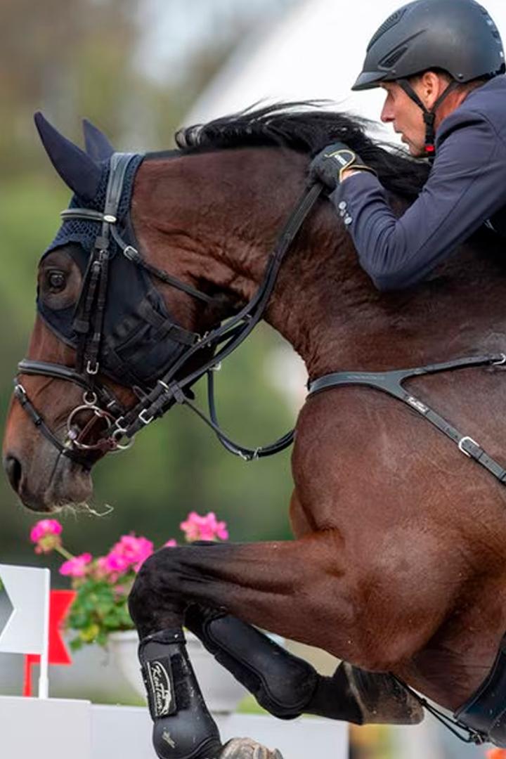 Reiten: Deutsches Spring- und Dressur-Derby (reiten-deutsches-spring-und-dressur-derby) Досуг, хобби