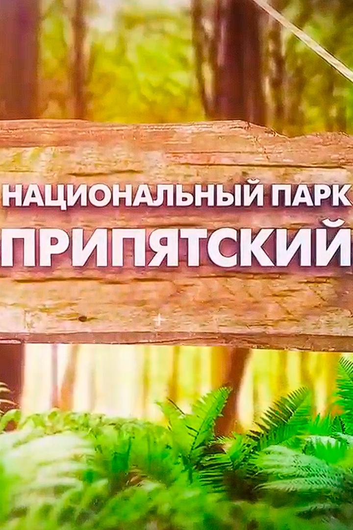 Припятский национальный парк (pripjatskij-natsionalnyj-park) Документальный фильм