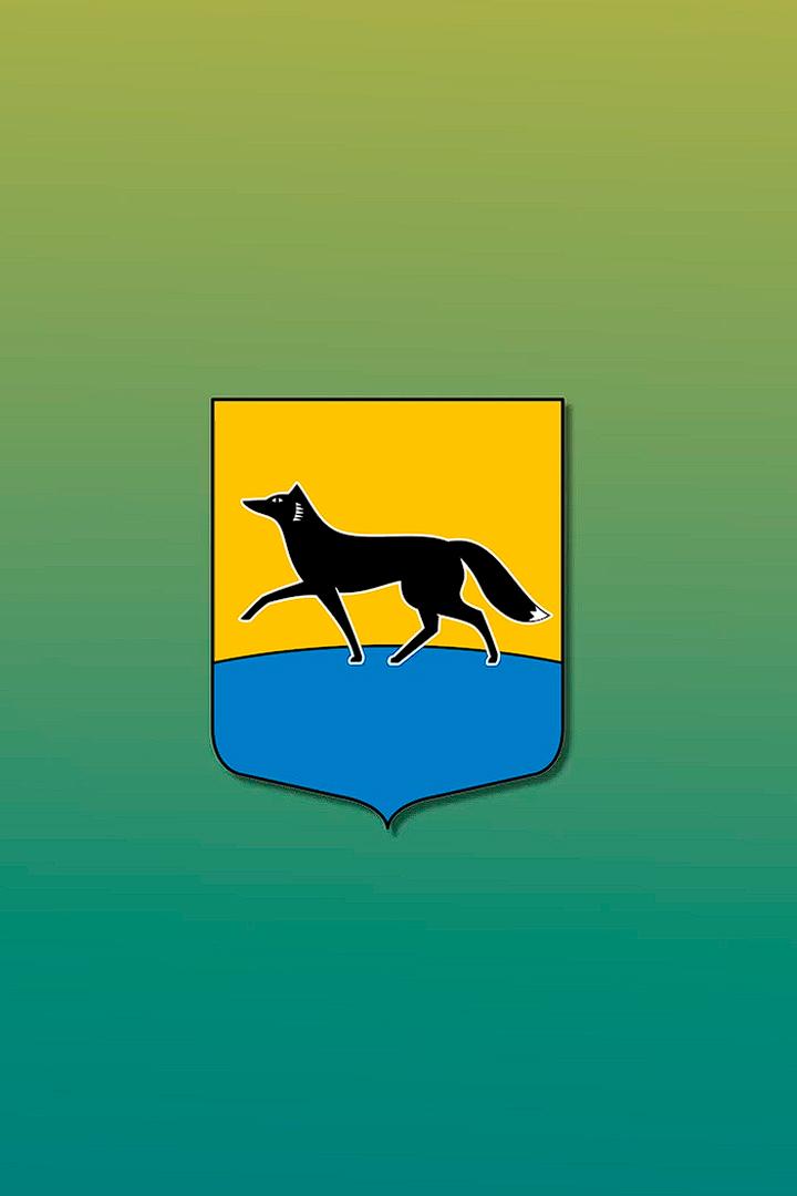 С Думой о городе (s-dumoj-o-gorode) Познавательное