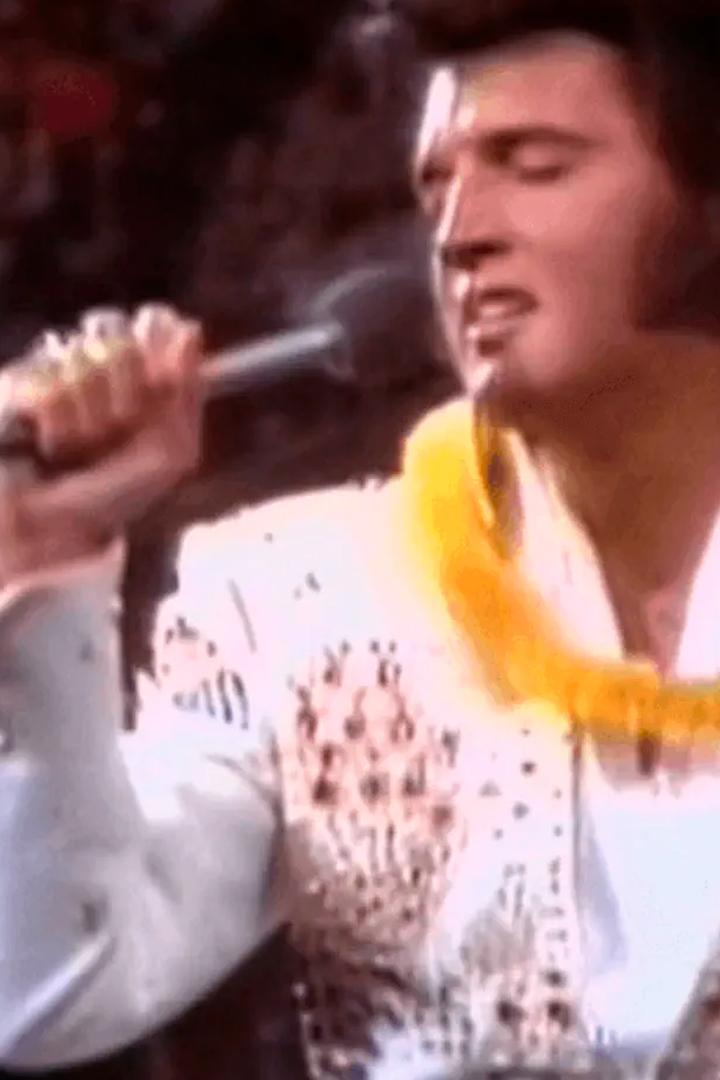 Elvis Presley - The Later Years (elvis-presley-the-later-years) Документальный фильм