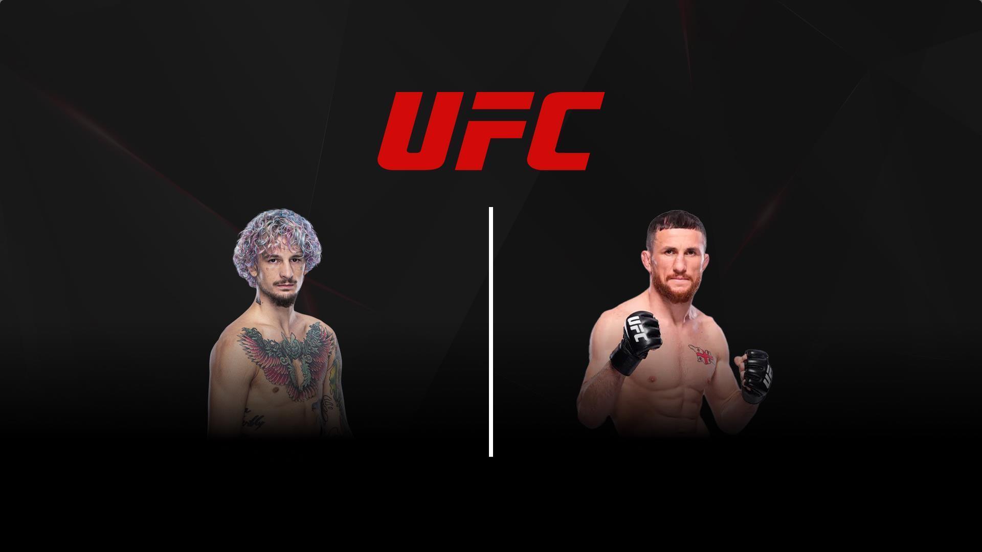 Смешанные единоборства. UFC. Шон О’Мэлли против Мераба Двалишвили. Трансляция из США (smeshannye-edinoborstva-ufc-shon-omelli-protiv-meraba-dvalishvili-transljatsija-iz-ssha) Спорт