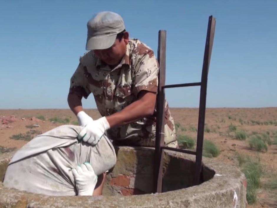 Чёрный гриф. Белоголовый сип (chernyj-grif-belogolovyj-sip) Документальный фильм