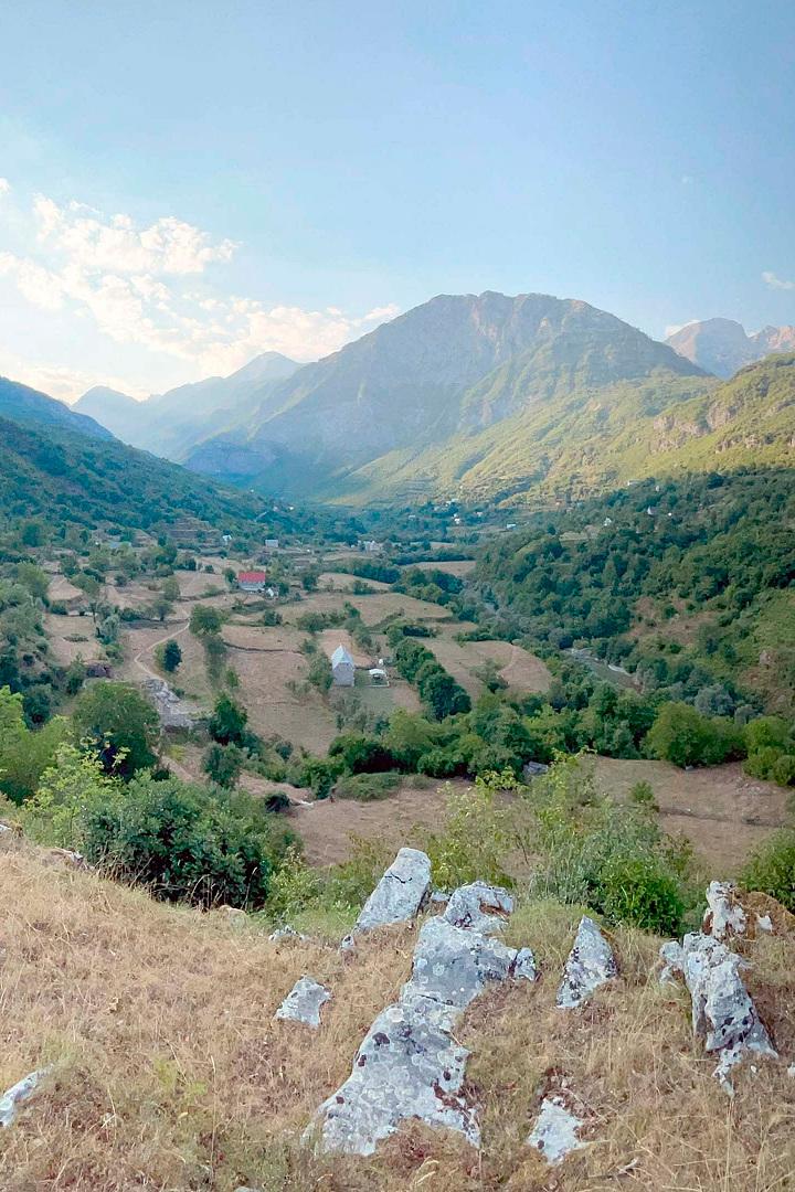 Forêts primaires, le poumon vert de l'Europe (forts-primaires-le-poumon-vert-de-leurope) Документальный фильм