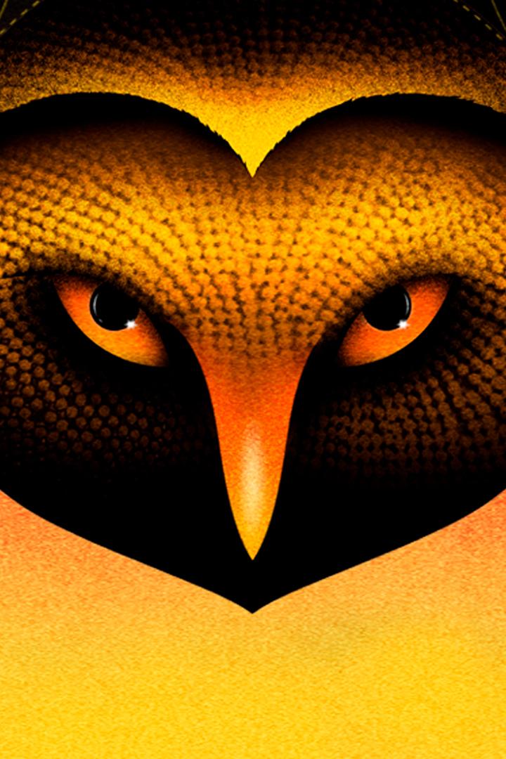 La découverte de la Chouette d'or (la-dcouverte-de-la-chouette-dor) Документальный фильм