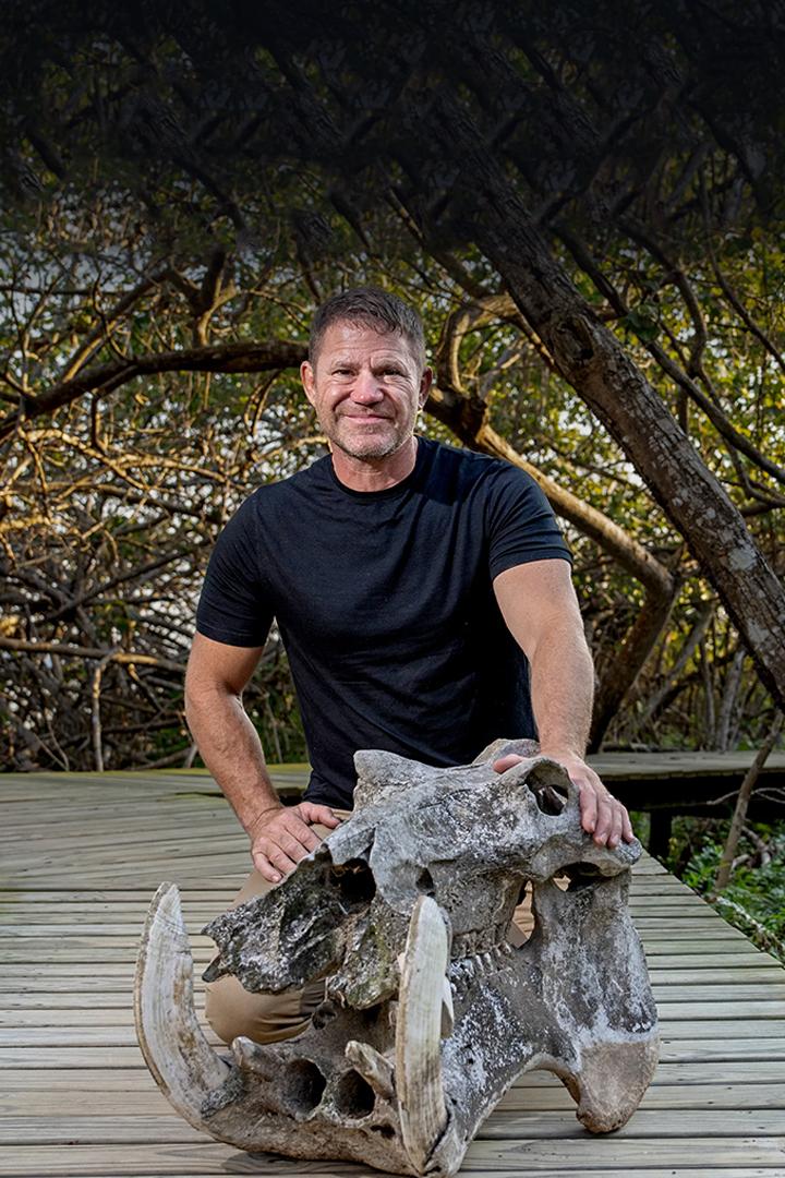 Hippo Watch with Steve Backshall (hippo-watch-with-steve-backshall) Документальный сериал