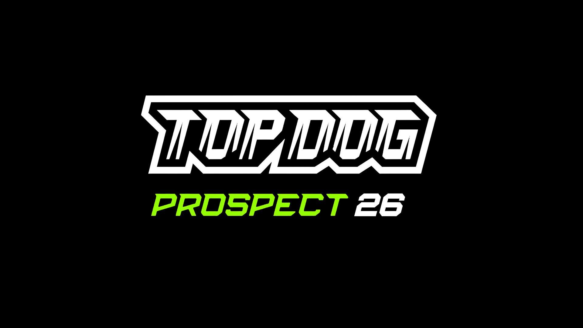 Кулачные бои. Top Dog Prospect 26 (kulachnye-boi-top-dog-prospect-26) Спорт