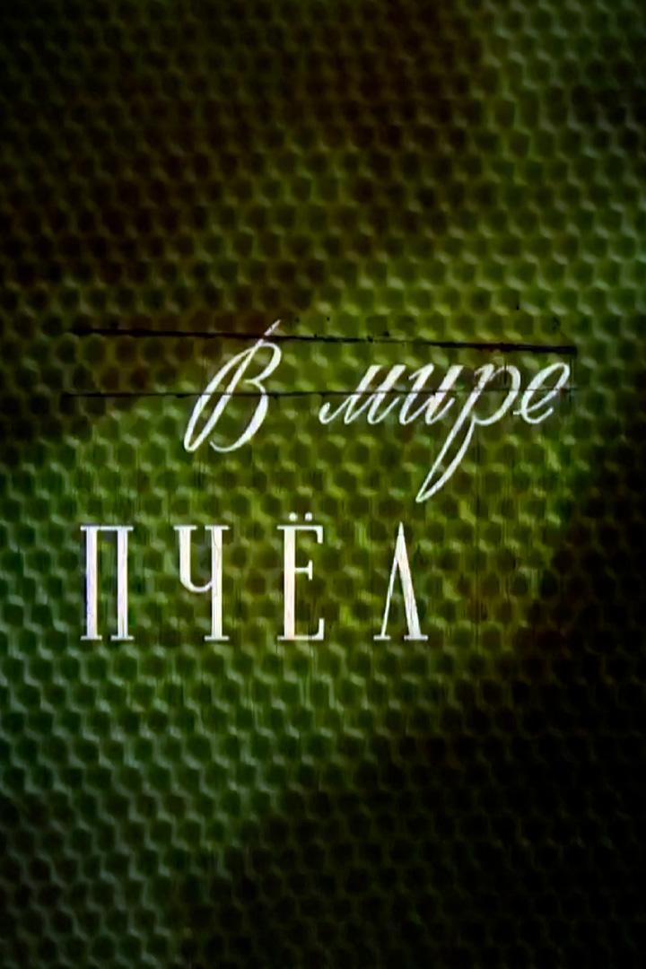 В мире пчёл (v-mire-pchel) Документальный фильм