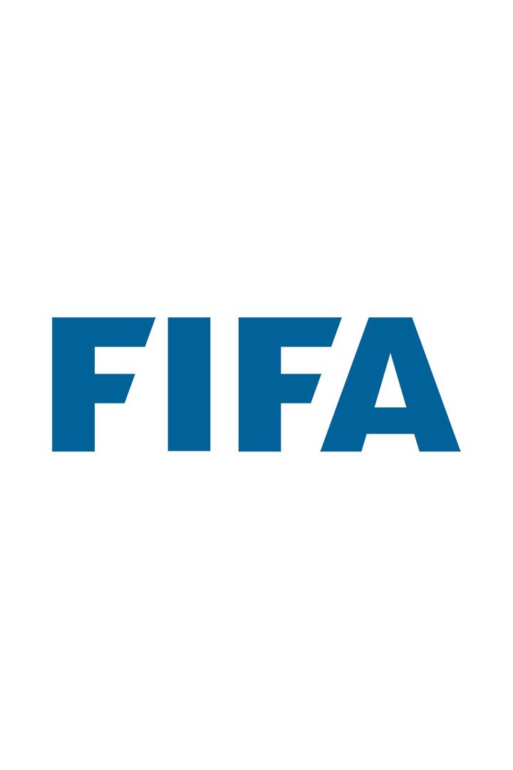 Directo Gol (T24/25) (directo-gol-t2425) Досуг, хобби