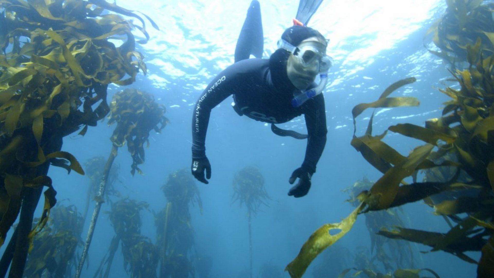 Испытание глубиной (ispytanie-glubinoj) Познавательное