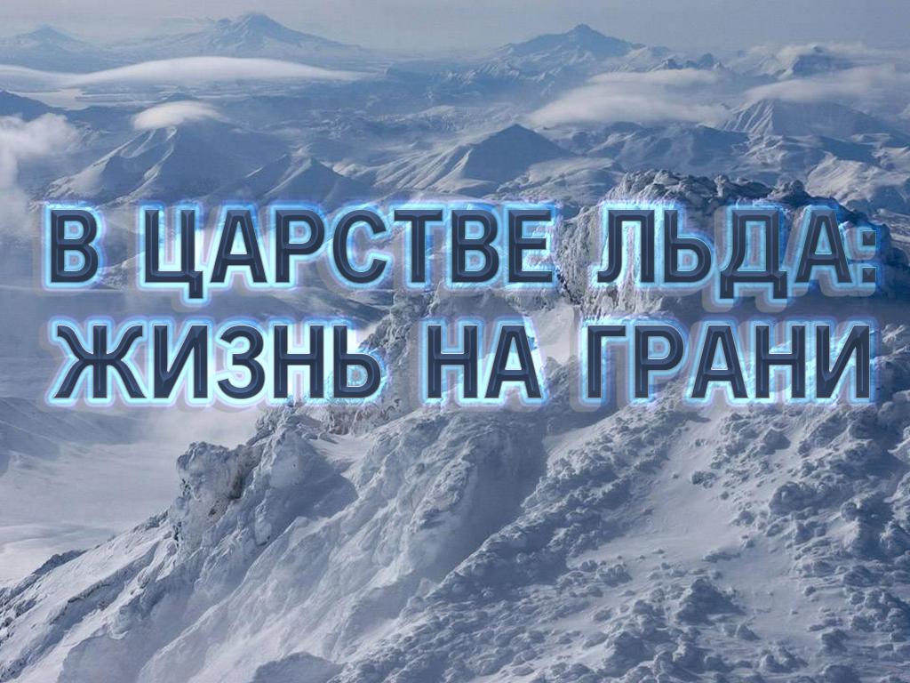 В царстве льда: жизнь на грани (v-tsarstve-lda-zhizn-na-grani) Документальный фильм