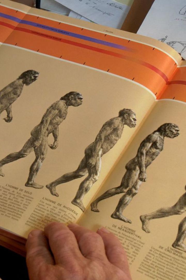 Neandertal, tras la huella de otra humanidad (neandertal-tras-la-huella-de-otra-humanidad) Документальный фильм