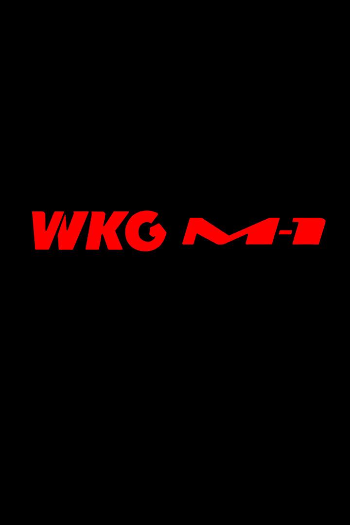 WKG & M-1 2025. Турнир из Аксу, Китай (wkg-m-1-2025-turnir-iz-aksu-kitaj) Досуг, хобби