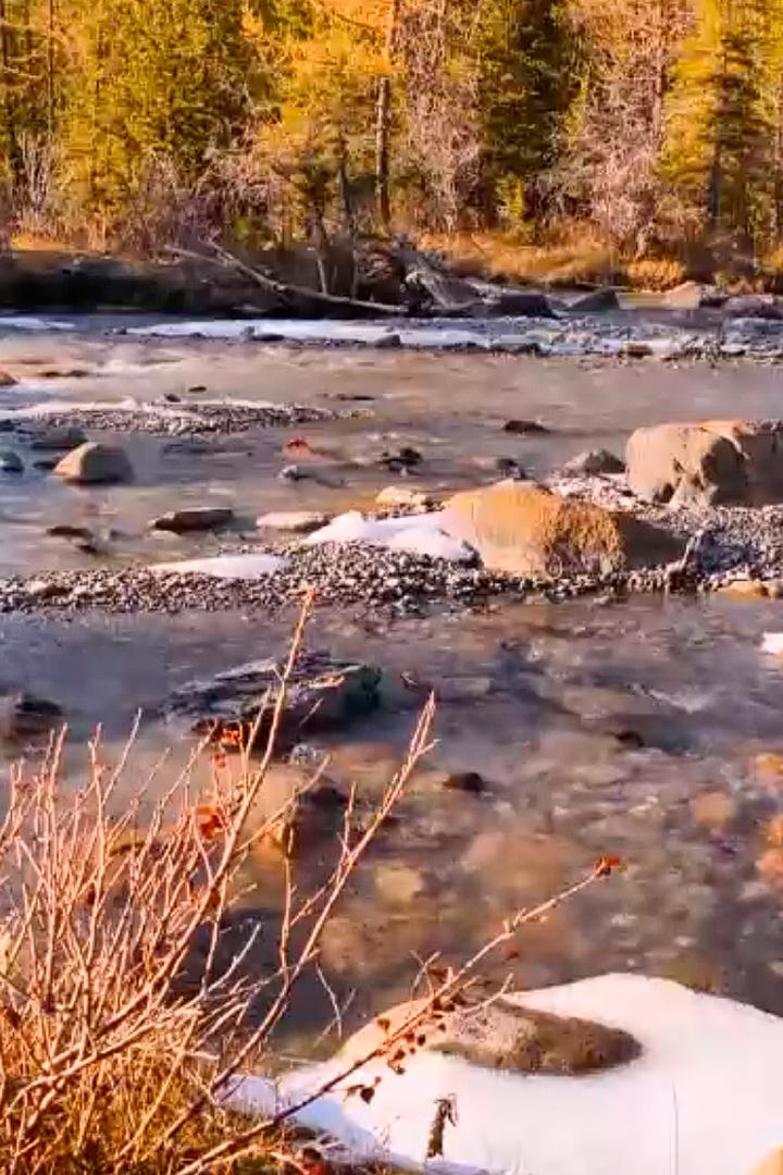 Горный лес Босния и Герцеговина (gornyj-les-bosnija-i-gertsegovina) Досуг, хобби