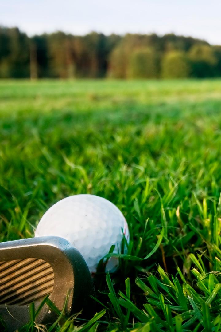 Гольф. Прочее. 2025 (golf-prochee-2025) Досуг, хобби