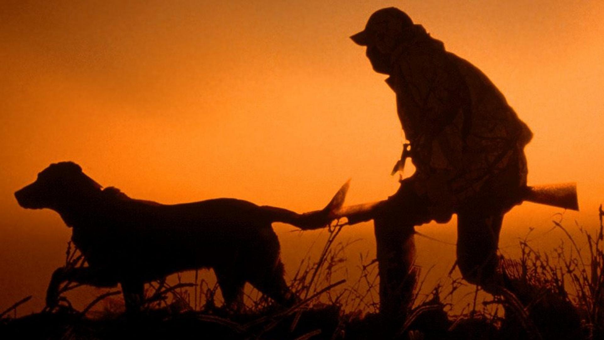 Я и моя собака (ja-i-moja-sobaka) Познавательное